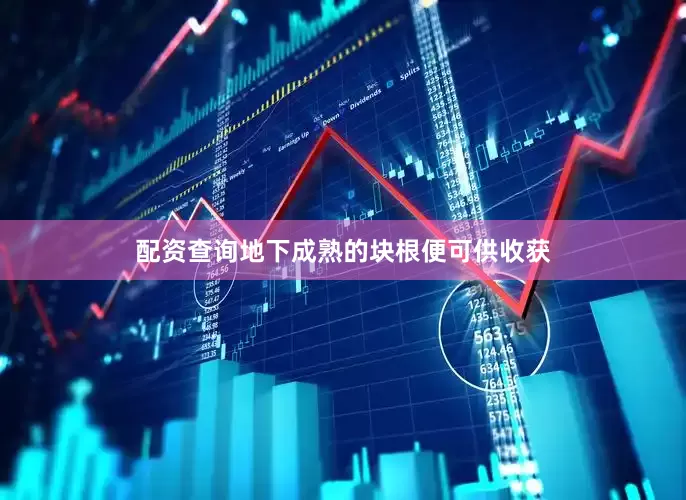 配资查询地下成熟的块根便可供收获